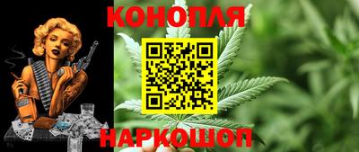 крисы Нальчик