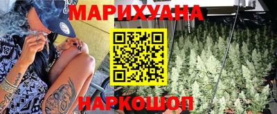 крисы Нальчик