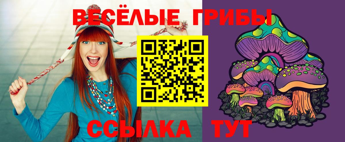 Псилоцибиновые грибы прущие грибы  магазин продажи   Сертолово  Вход с VPN 