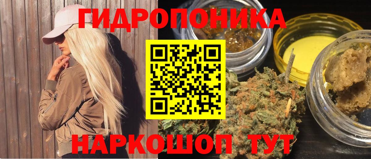 Каннабис план Сертолово